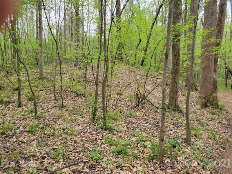 Property image 3 at 515 Coffeetree Lane, Stanley, NC 28164