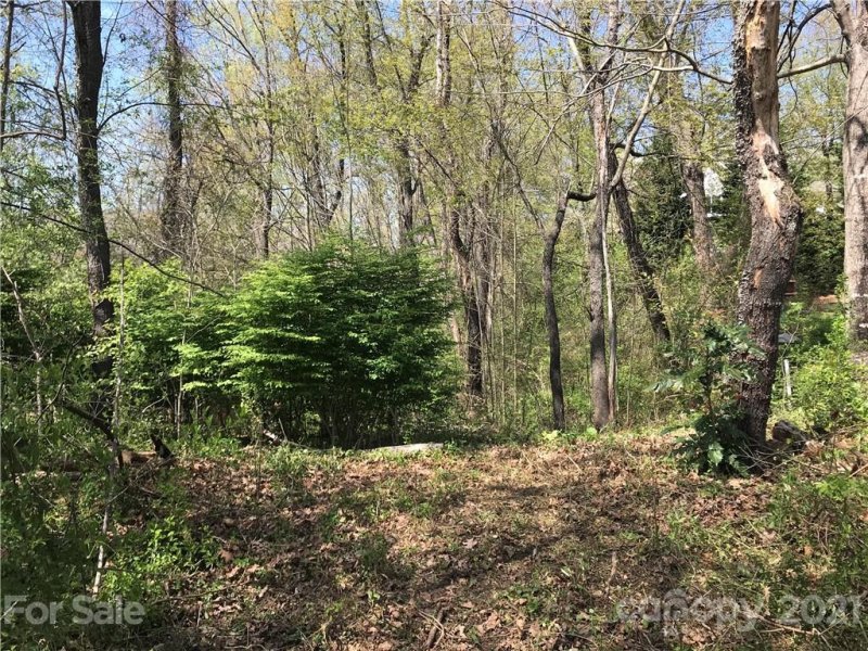 Property image 2 at 00 Susannah Court, Lake Junaluska, NC 28745