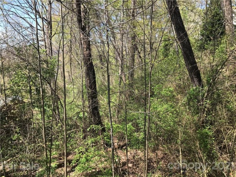 Property image 4 at 00 Susannah Court, Lake Junaluska, NC 28745