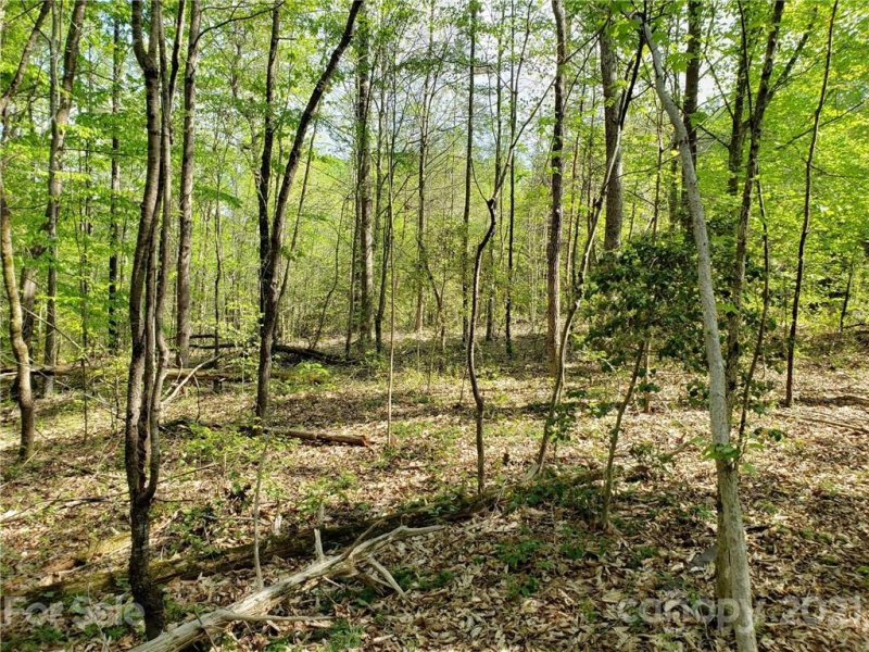 Property image 4 at 9032 Wagon Trail, Lincolnton, NC 28092