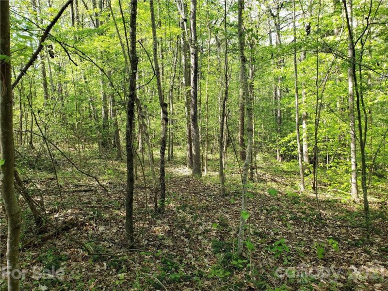 Property image 5 at 9032 Wagon Trail, Lincolnton, NC 28092