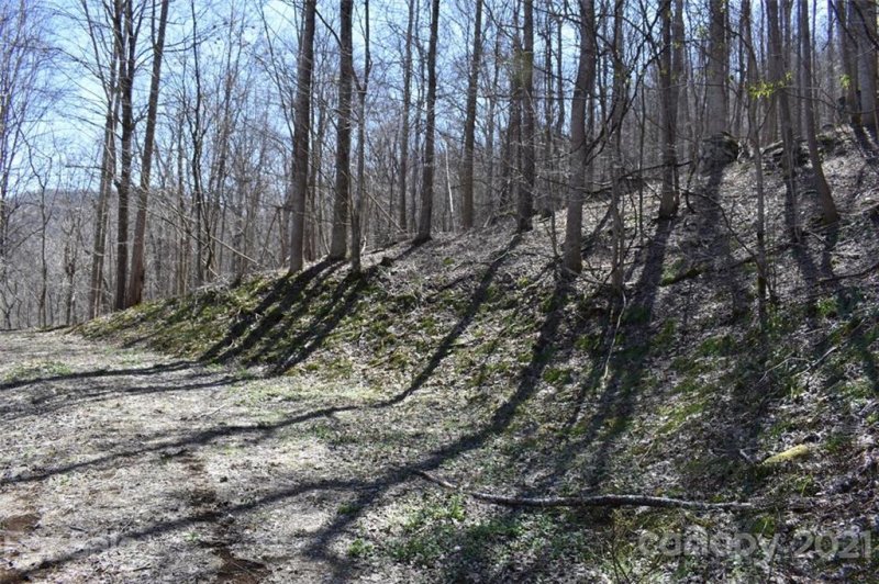 Property image 2 at Lot 21 Rock Springs Road, Bakersville, NC 28705