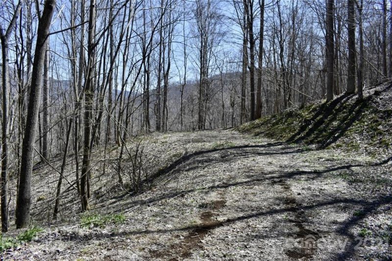 Property image 4 at Lot 21 Rock Springs Road, Bakersville, NC 28705