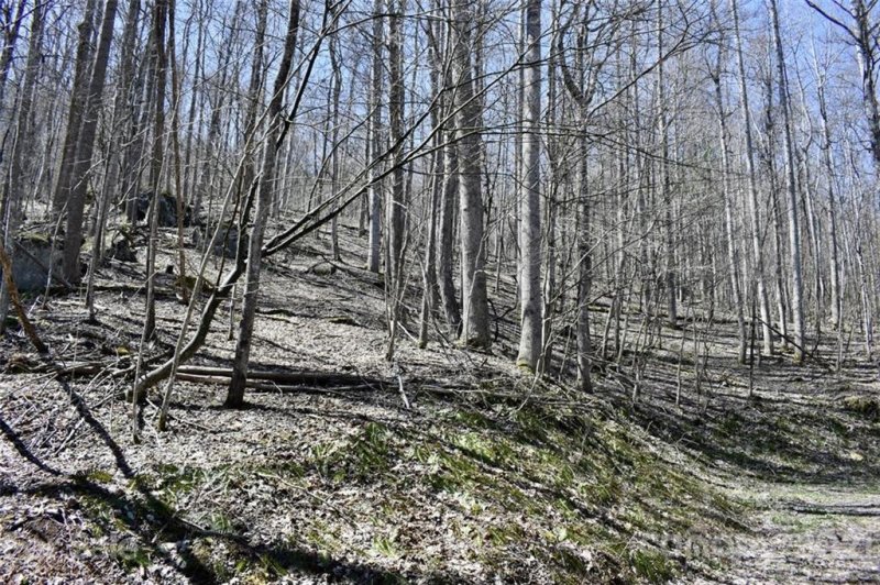 Property image 5 at Lot 21 Rock Springs Road, Bakersville, NC 28705