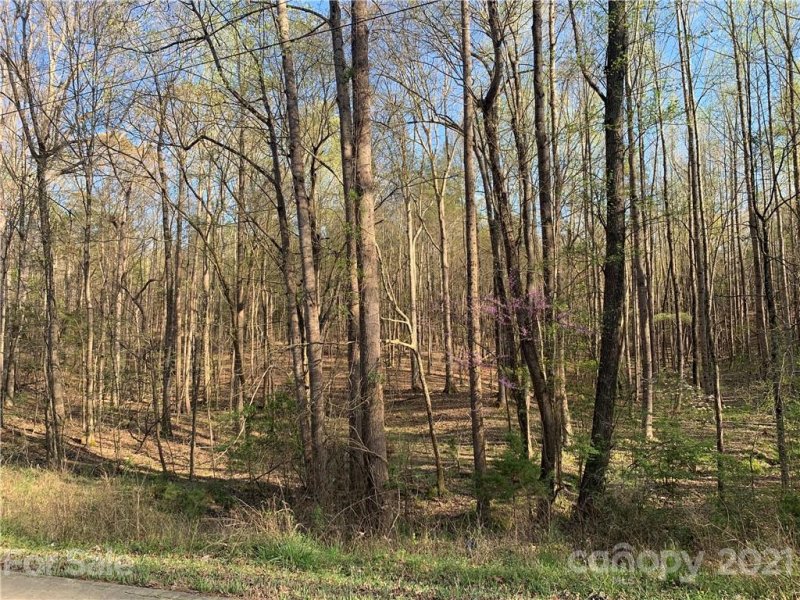 Property image 2 at 42 Eutaw Drive, Waxhaw, NC 28173