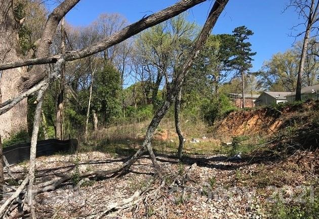 Property image 2 at 309 Centre Street, Charlotte, NC 28216