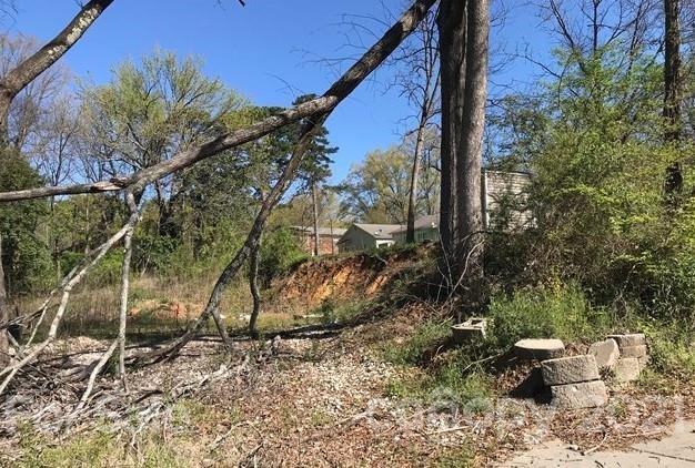 Property image 3 at 309 Centre Street, Charlotte, NC 28216