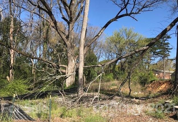 Property image 4 at 309 Centre Street, Charlotte, NC 28216