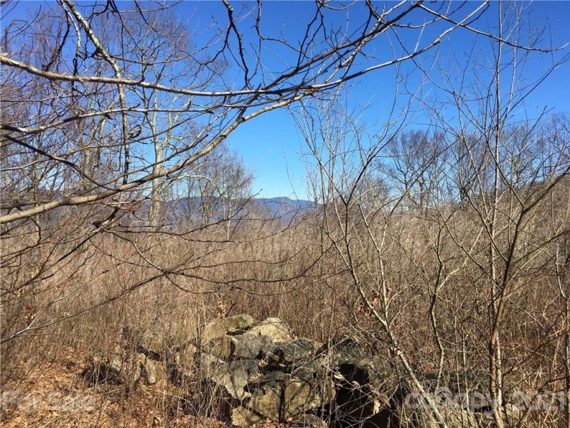 Property image 2 at 0 Lytle Cove Road, Swannanoa, NC 28778