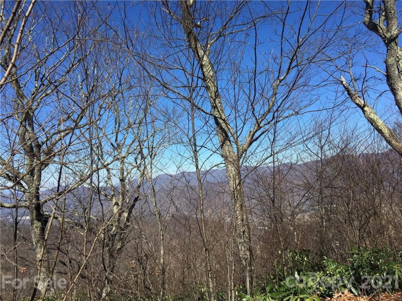 Property image 3 at 0 Lytle Cove Road, Swannanoa, NC 28778