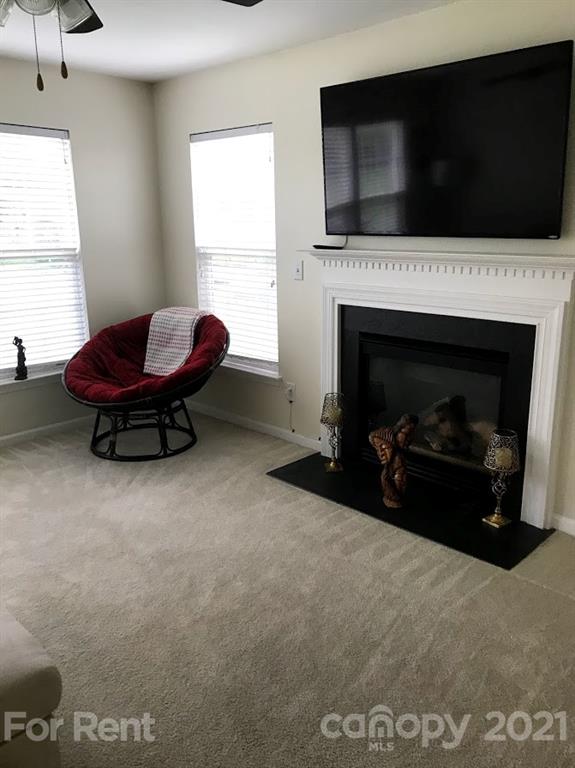 Property image 3 at 9119 Arbor Creek Drive, Charlotte, NC 28269