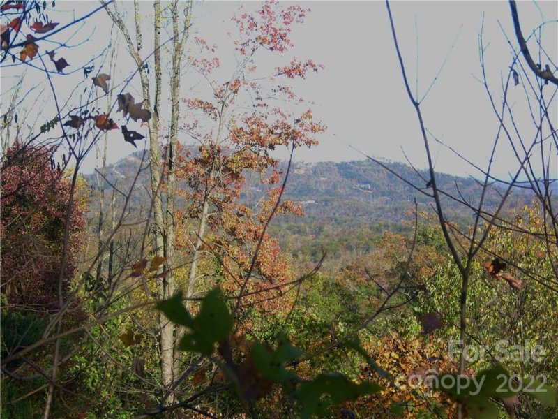 Property image 2 at 53 Bear Cliff Way, Lake Lure, NC 28746