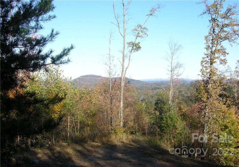 Property image 4 at 53 Bear Cliff Way, Lake Lure, NC 28746