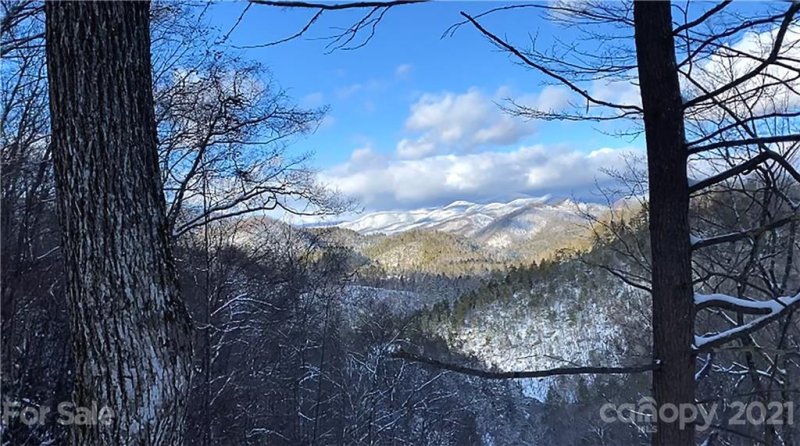 Property image 3 at Tbd Bear River Lodge Trail, Marshall, NC 28753