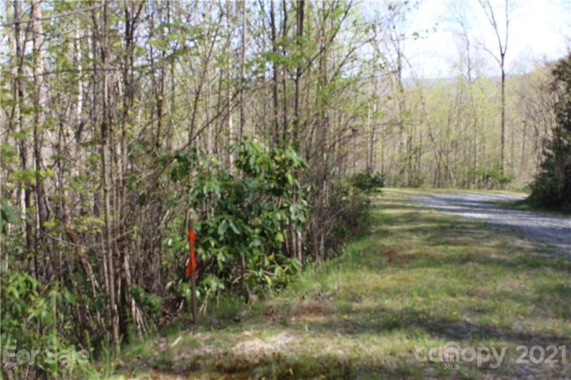 Property image 3 at 19 Hawkins Hollow Road, Pisgah Forest, NC 28768