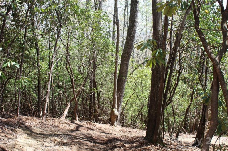 Property image 5 at 19 Hawkins Hollow Road, Pisgah Forest, NC 28768