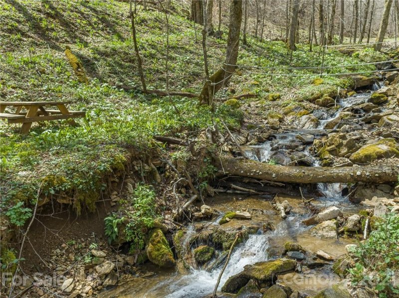 Property image 4 at 202 Phacelia Lane, Mars Hill, NC 28754