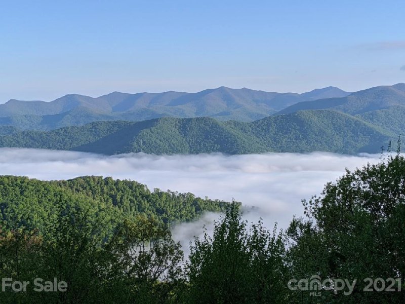 Property image 2 at 40 Mountain Azalea Drive, Swannanoa, NC 28778