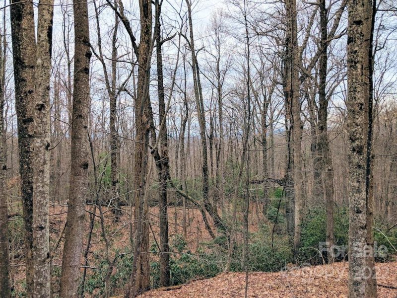 00 Melrose Mountain Road