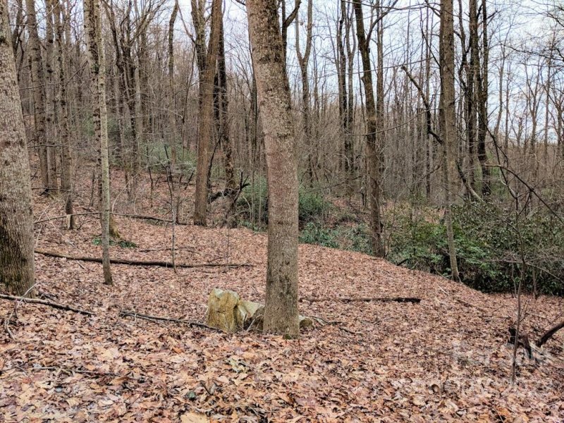 Property image 2 at 00 Melrose Mountain Road, Tryon, NC 28782