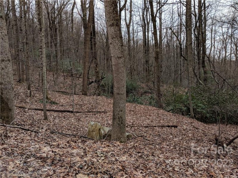 Property image 3 at 00 Melrose Mountain Road, Tryon, NC 28782