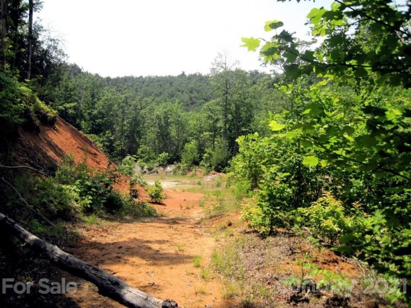 Property image 2 at Xxx Forest Park Court, Pisgah Forest, NC 28768