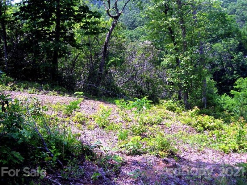 Property image 3 at Xxx Forest Park Court, Pisgah Forest, NC 28768