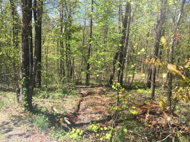 Property image 2 at 0 Pinnacle Parkway, Union Mills, NC 28167