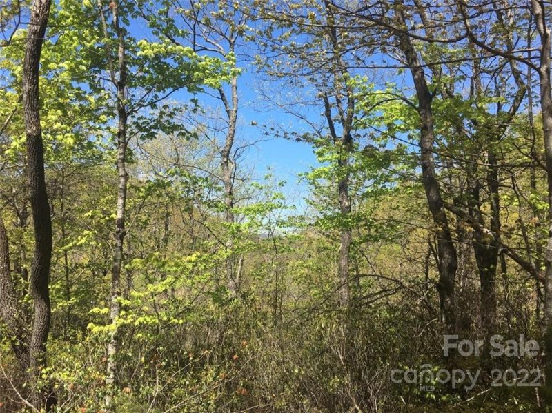 Property image 4 at 0 Pinnacle Parkway, Union Mills, NC 28167