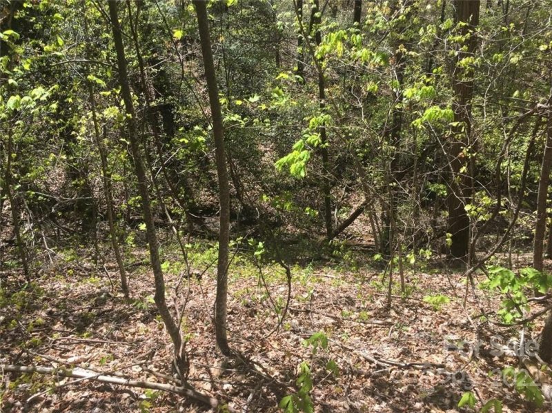 Property image 5 at 0 Pinnacle Parkway, Union Mills, NC 28167