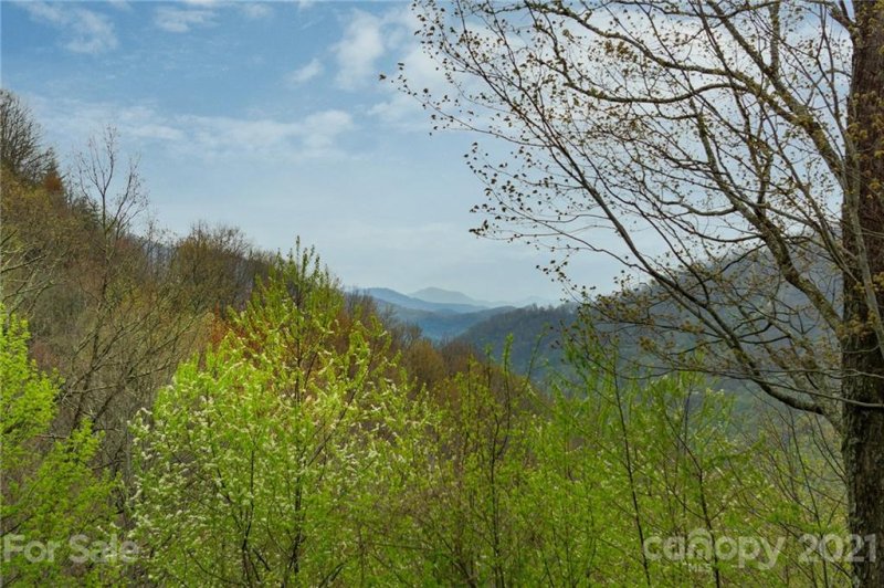 Property image 5 at 485 Smoky Falls Drive, Maggie Valley, NC 28751