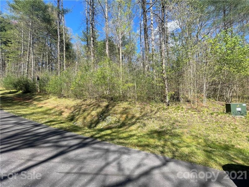 53r High Hemlock Trail