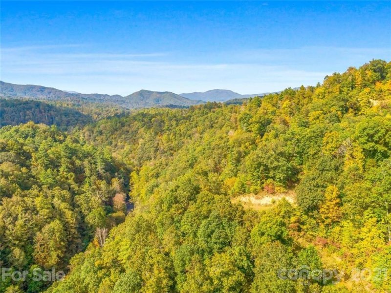 Property image 2 at 9999 Wild Iris Lane, Marshall, NC 28753