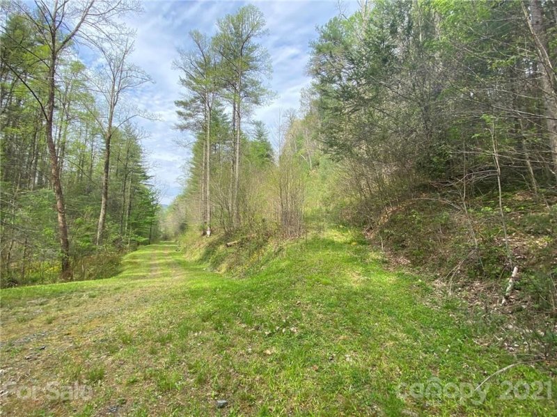 Property image 3 at 9999 Wild Iris Lane, Marshall, NC 28753