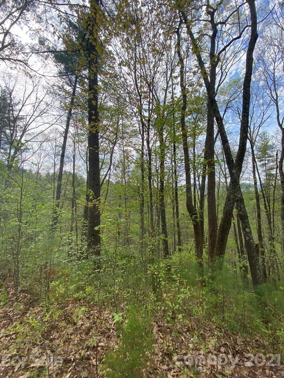 Property image 5 at 9999 Wild Iris Lane, Marshall, NC 28753