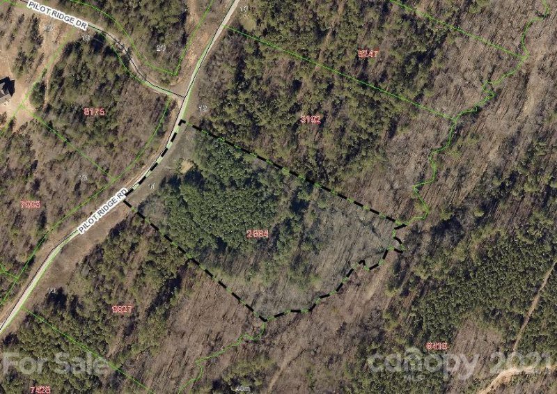 316 Pilot Ridge Road