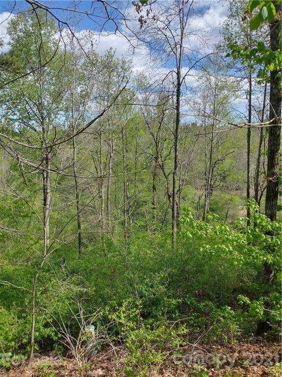 Property image 3 at 777 Rambling Creek Road, Tryon, NC 28782