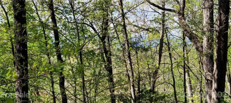 Property image 2 at Lot 26 Quiet Place, Nebo, NC 28761