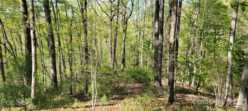 Property image 3 at Lot 26 Quiet Place, Nebo, NC 28761