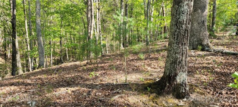 Property image 4 at Lot 26 Quiet Place, Nebo, NC 28761