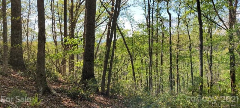 Property image 5 at Lot 26 Quiet Place, Nebo, NC 28761