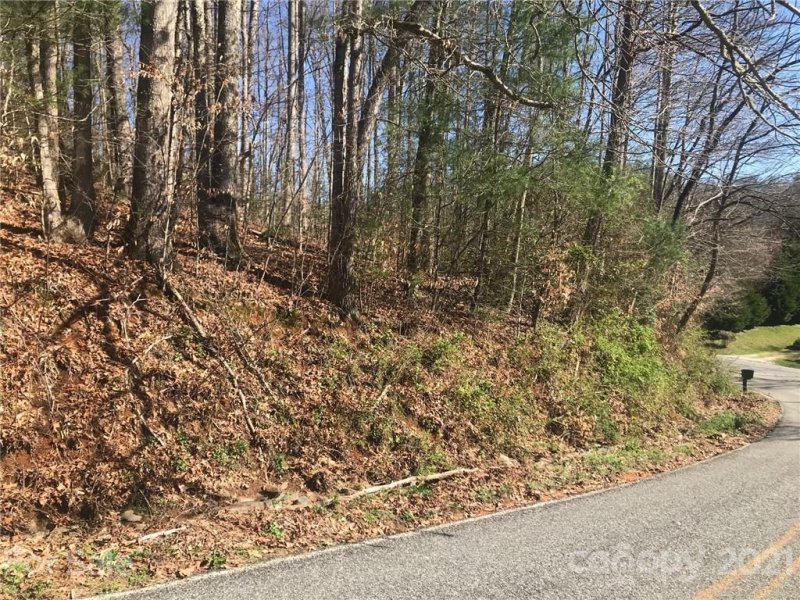 Property image 3 at Lot 22 23 Barberry Circle, Brevard, NC 28712