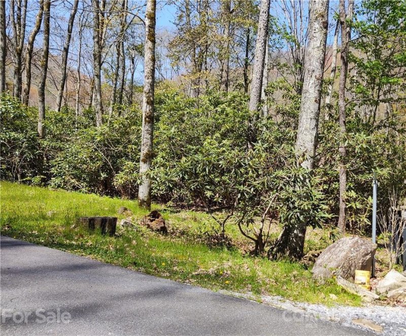 Property image 2 at 00 Jonathan Trail, Maggie Valley, NC 28751