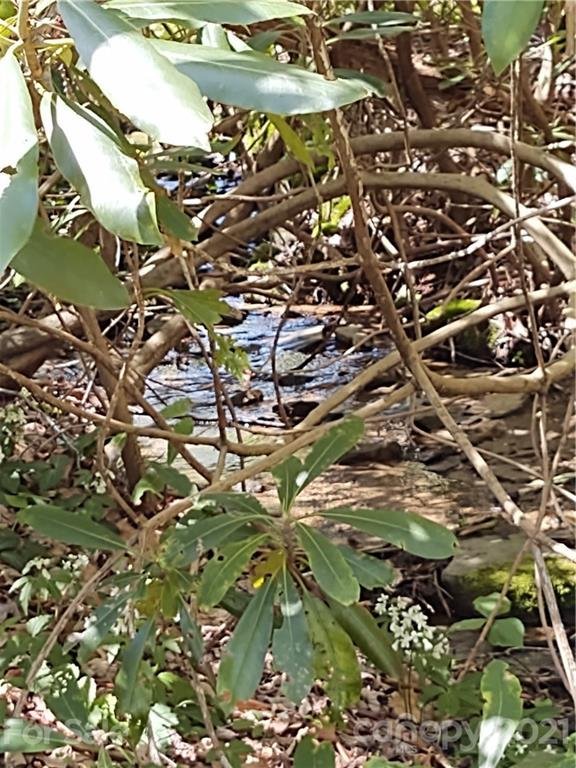 Property image 3 at 00 Jonathan Trail, Maggie Valley, NC 28751