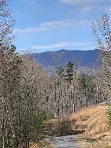 Property image 2 at 1 55 Acres Lot 30 Shady Bark Lane, Rutherfordton, NC 28139