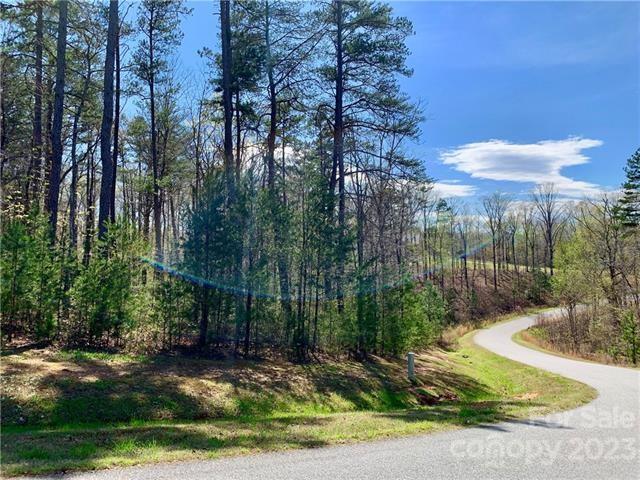 Property image 3 at 1 55 Acres Lot 30 Shady Bark Lane, Rutherfordton, NC 28139