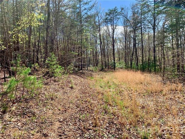 Property image 5 at 1 55 Acres Lot 30 Shady Bark Lane, Rutherfordton, NC 28139