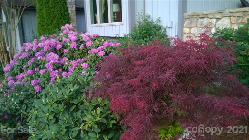 Property image 3 at 444 Kyfields Drive, Weaverville, NC 28787