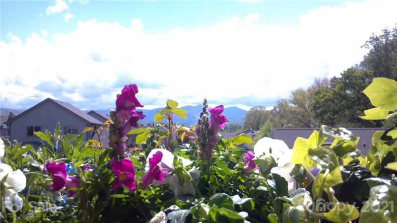 Property image 5 at 444 Kyfields Drive, Weaverville, NC 28787