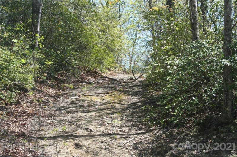 Property image 2 at 9999 Rocky Falls Drive, Black Mountain, NC 28711